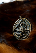 Draco l'amulette du dragon